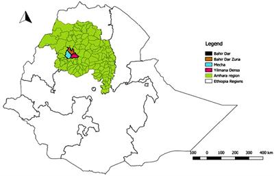 Incidence and Predictors of Calf Morbidity and Mortality From Birth to 6-Months of Age in Dairy Farms of Northwestern Ethiopia